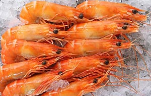 image of king prawns